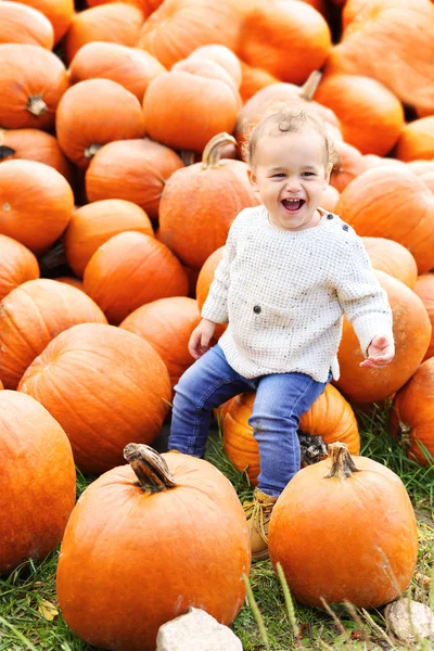 Kabak alanındaki mutlu küçük çocuk