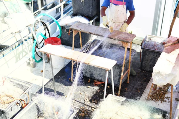 Fisherman cleaning fishing net