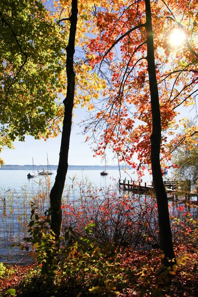 Paisaje soleado de otoño con cielo azul sobre el lago —  Fotos de Stock