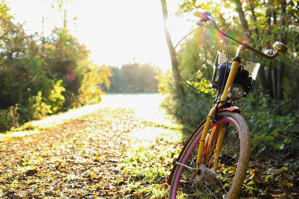 Sonbahar zaman bisiklet yolu
