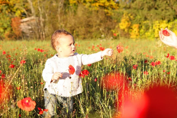 Băiețel în câmp de flori de mac roșu — Fotografie, imagine de stoc