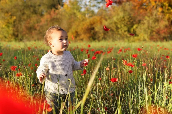 Băiețel în câmp de flori de mac roșu — Fotografie, imagine de stoc