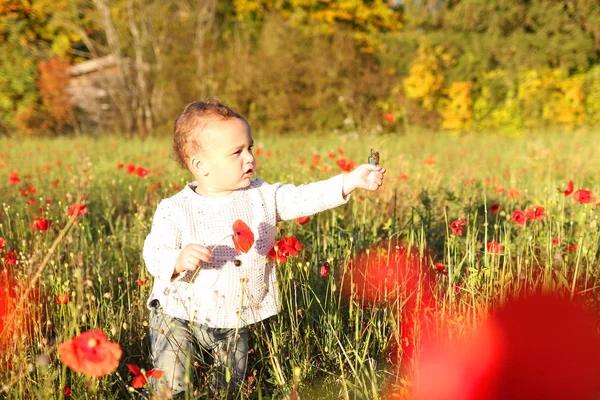 Băiețel în câmp de flori de mac roșu care se joacă cu fluture — Fotografie, imagine de stoc