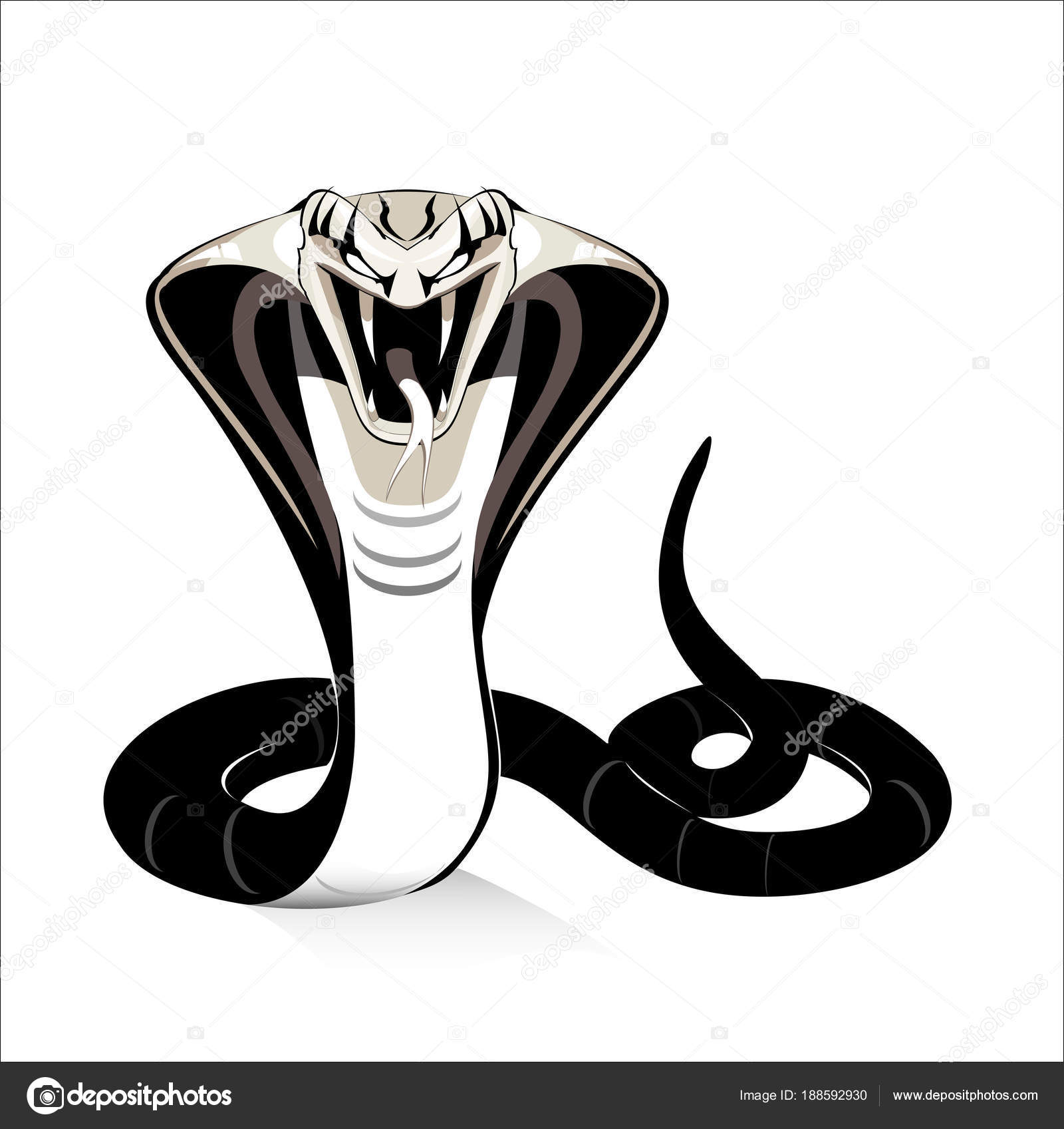 king cobra vs black mamba video download Black mamba vs king cobra youtube.