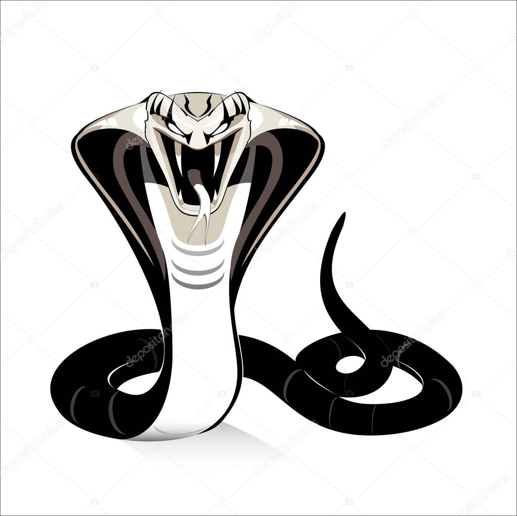 cobra, standing cobra. king cobra in black and white.