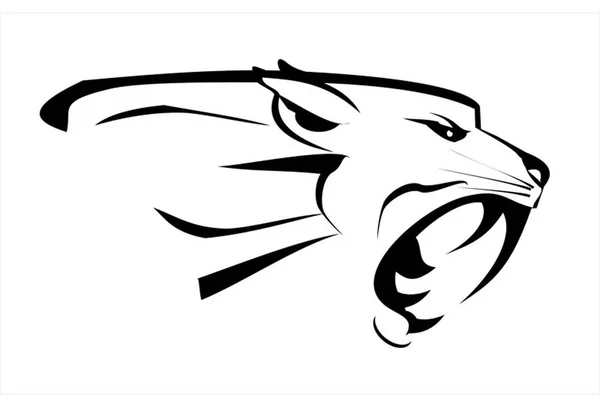 Kaplan. cougar.tiger kafa, Fang yüz kükreyen