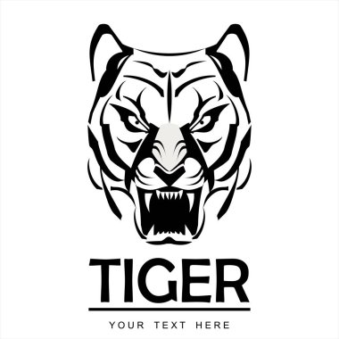 beyaz büyük kaplan kafa.