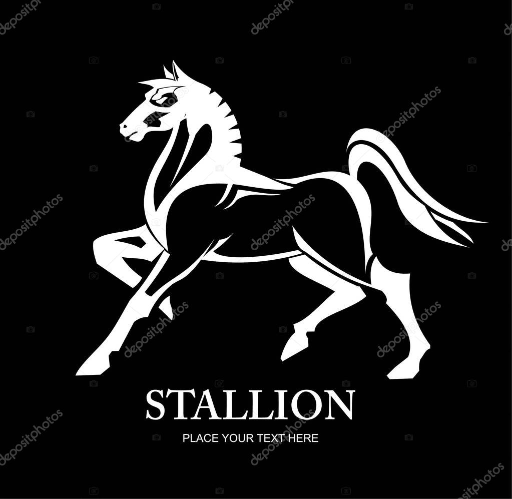 Standing Horse. full body side view of a big horse. bold horse Isolated on Black background.