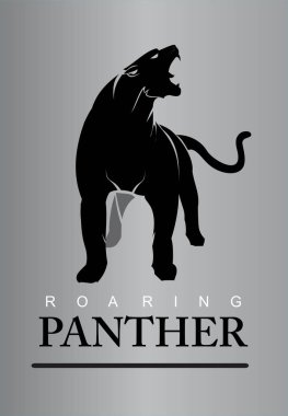 Korkusuz Panter.