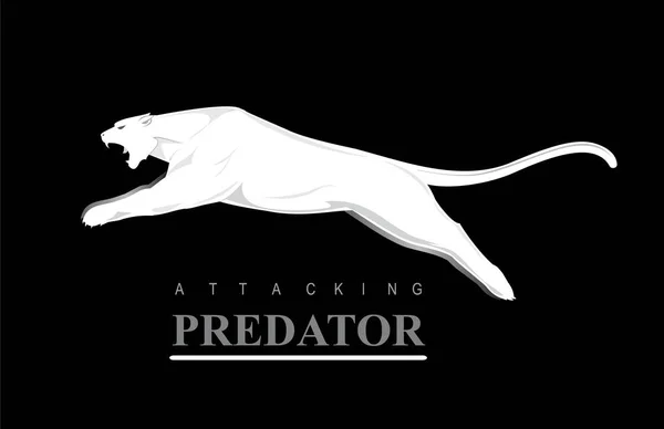 Hoppande Predator. Hoppande Puma. Orädd Puma. — Stock vektor