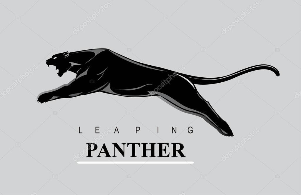 Leaping black panther on the grey background.