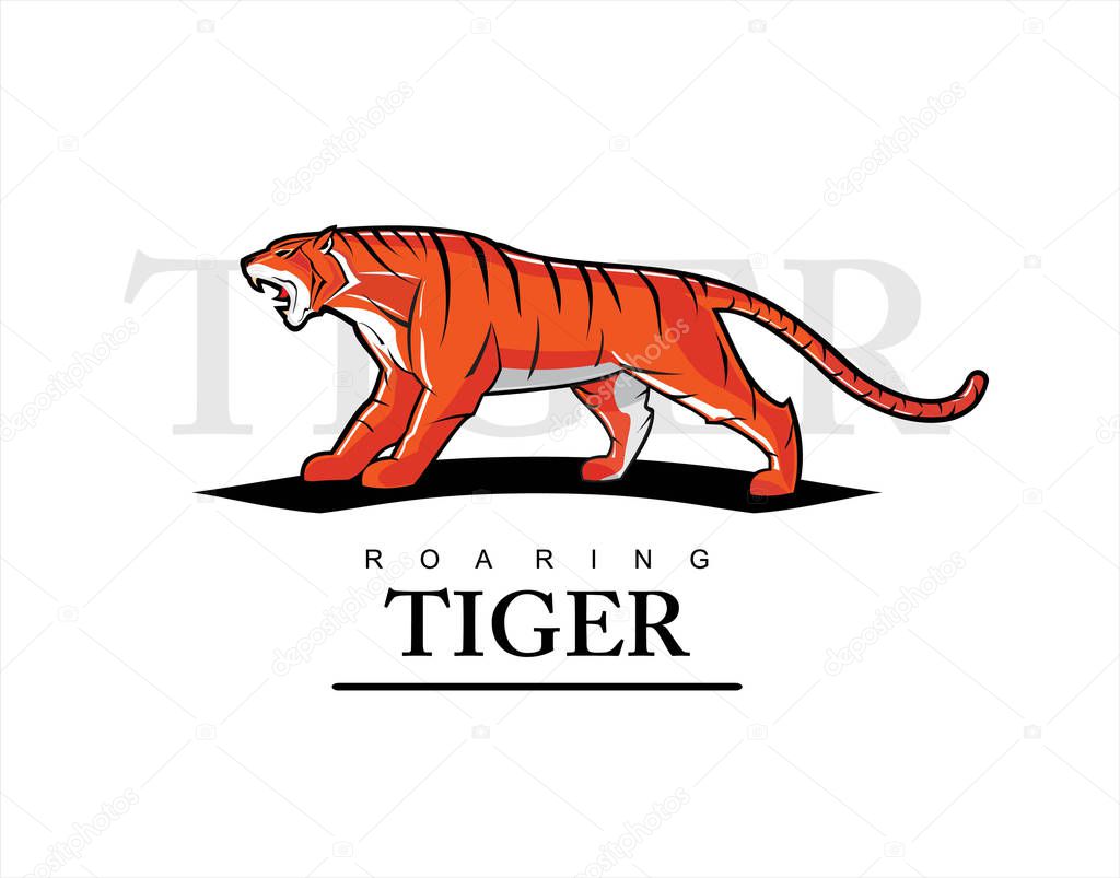 tiger, roaring tiger,big tiger mascot