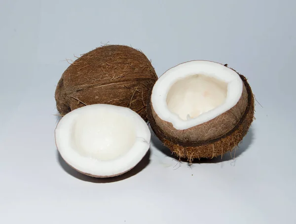 两个有阴影的白色背景的椰子 — 图库照片