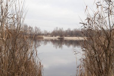 Ukrayna 'da göl kıyısında fırtına var.