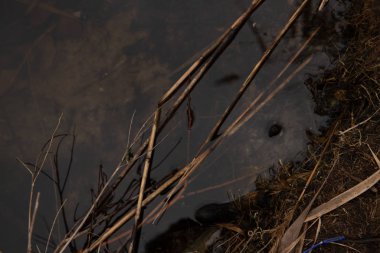  Sudaki bulut bu açıyı kapatıyor.