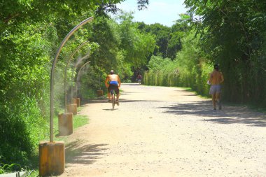 Costanera Sur Ekolojik Rezerv, Buenos Aires, Arjantin-24 Ocak 2019. Costanera Sur, Buenos Aires 'te hafta sonu piknik, yürüyüş ve bisiklet gezileri için popüler bir ekolojik rezervdir.