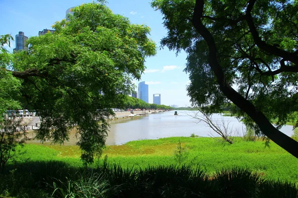 Una Vista Desde Reserva Ecológica Costanera Sur Bunoes Aires Argentina — Foto de Stock