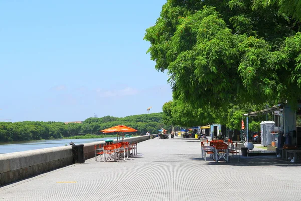 Costanera Sur Ecological Reserve Buenos Aires Argentina January 2019 Costanera — Stock Photo, Image