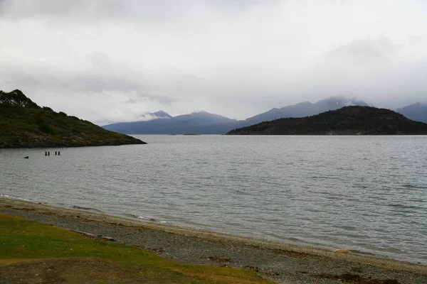 Beau Paysage Terre Feu Parc National Ushuaia Argentine — Photo