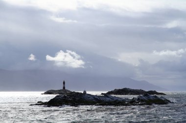  Les Eclaireurs adası ve deniz kuşları ve deniz aslanları ile ünlü deniz feneri, Beagle Channel, Ushuaia Arjantin