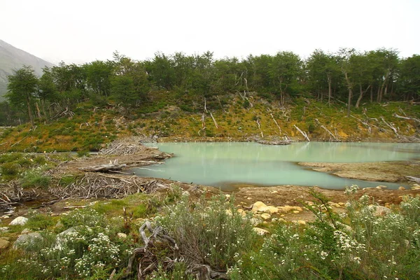 Beau Paysage Avec Ruisseau Venant Des Montagnes Enneigées Ushuaia — Photo