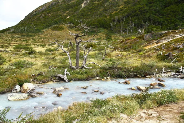 Bela Paisagem Com Riacho Vindo Das Montanhas Nevadas Ushuaia — Fotografia de Stock