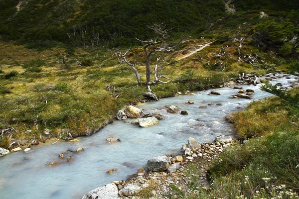 Bela Paisagem Com Riacho Vindo Das Montanhas Nevadas Ushuaia — Fotografia de Stock