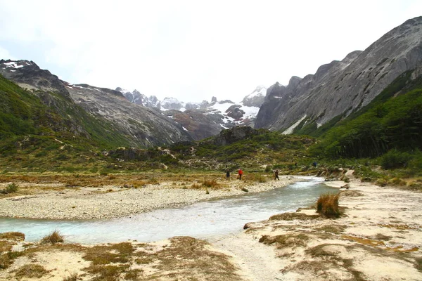 Vackert Landskap Med Bäck Som Kommer Från Snöiga Bergen Ushuaia — Stockfoto