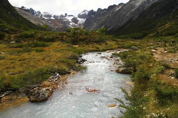 Piękny Krajobraz Strumieniem Pochodzącym Śnieżnych Gór Ushuaia — Zdjęcie stockowe