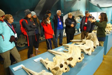  Ushuaia, Arjantin, bir grup insan güneydeki deniz memelileri, kuşlar ve yerel türler hakkında bilgi edinmek için Acatushun Müzesi 'nde bir tur düzenliyor.