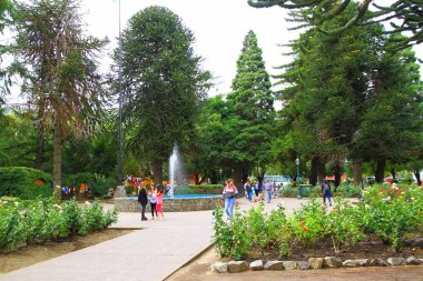  Şehirdeki yeşil parklardan biri olan Plaza Sarmiento 'nun manzarası. San Martin de Los Andes, Arjantin