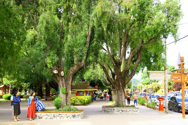 Una Vista Desde Plaza Sarmiento Que Uno Los Parques Verdes —  Fotos de Stock