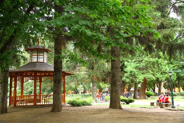 San Martin Los Andes Argentina Febbraio 2019 Una Vista Plaza — Foto Stock