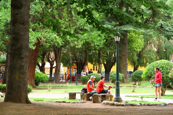 San Martin Los Andes Argentina Febrero 2019 Una Vista Desde —  Fotos de Stock