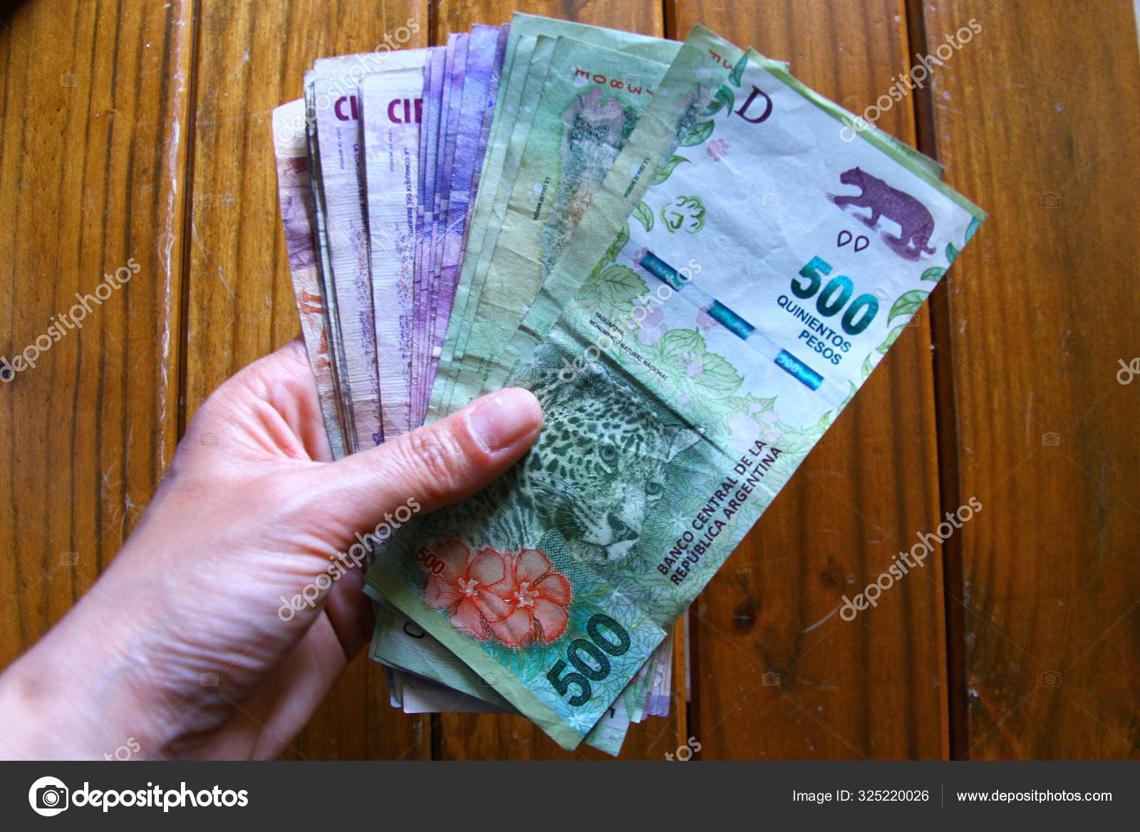 各种阿根廷比索在手——图库图片© YaseminOlgunozBerber #325220026