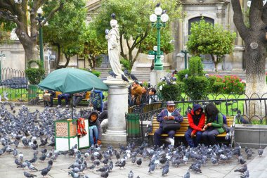 Şehrin merkezi Plaza Murillo 'dan bir manzara ve her zaman kuşlarla ve sokak satıcılarıyla dolu.