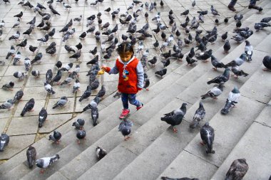 Bolivyalı bir kız, Bolivya, Plaza Murillo meydanında kuşları besliyor.