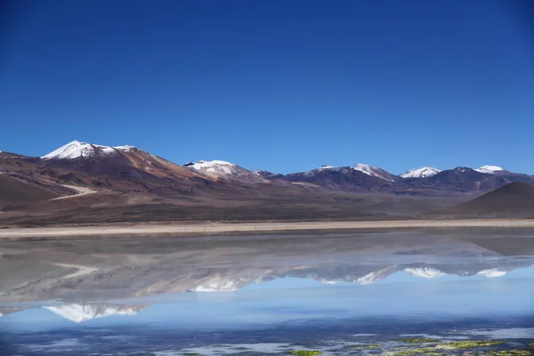 Vue Réserve Nationale Faune Andine Eduardo Avaroa Bolivie — Photo