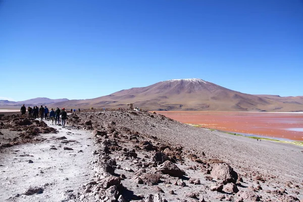 Una Vista Desde Suelos Volcánicos Secos Osorno Hay Rutas Senderismo — Foto de Stock