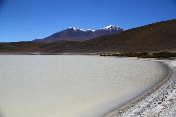 Lagunas Altiplánicas Reserva Nacional Fauna Andina Eduardo Avaroa Bolivia — Foto de Stock