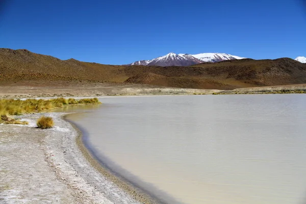 玻利维亚Eduardo Avaroa安第斯动物国家保护区的高山泻湖 — 图库照片