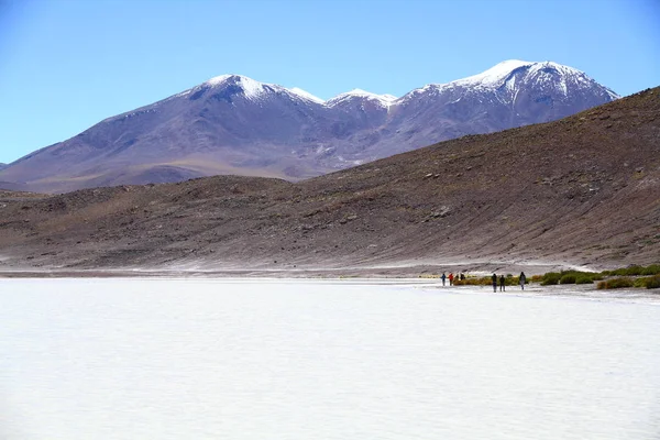 Altiplanic Lagoons Eduardo Avaroa Andean Fauna National Reserve Болівії — стокове фото