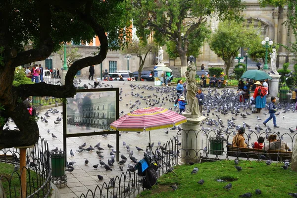 Una Vista Desde Plaza Murillo Que Plaza Central Ciudad Siempre —  Fotos de Stock