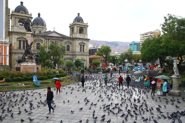 Widok Plaza Murillo Który Jest Centralnym Placem Miasta Jest Zawsze — Zdjęcie stockowe