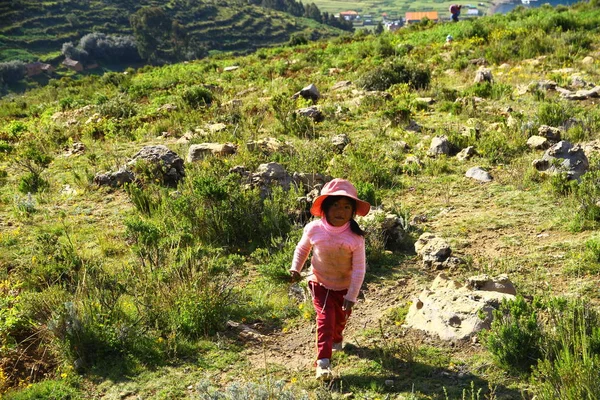 Een Klein Boliviaans Meisje Pikt Natuurlijke Kruiden Bergen Bolivia — Stockfoto
