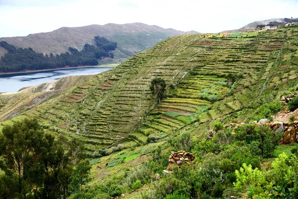 Terrazze Sulle Piste Isla Del Sol Bolivia — Foto Stock