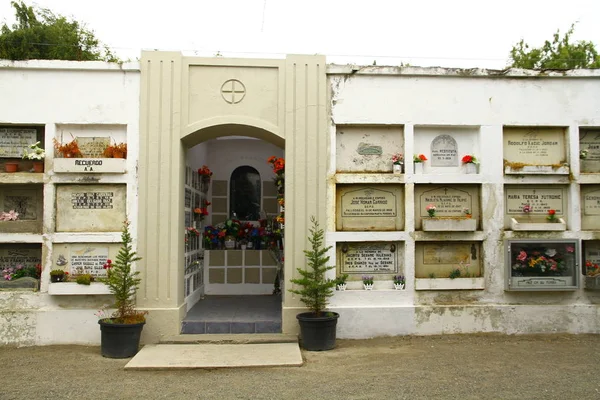 Punta Arenas Cemetery Punta Arenas Chile February 2019 View Public — Stock fotografie