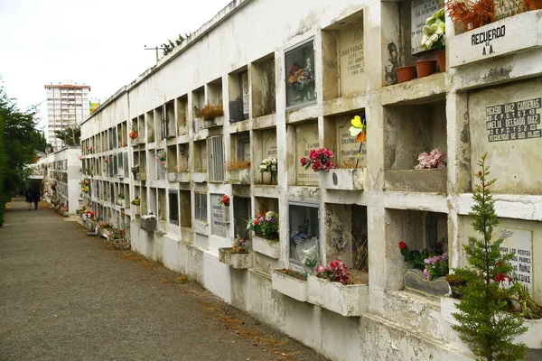 Punta Arenas Cemetery Punta Arenas Chile February 2019 View Public — Stock fotografie