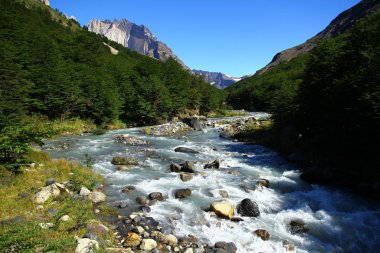 Vadide güzel bir nehir manzarası, Torres del Paine Ulusal Parkı, Şili