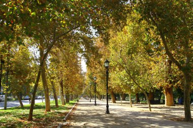 Şili 'nin ortasındaki Mapocho Nehri' nin yanındaki büyük ve yeşil bir şehir parkı olan güzel Park Ormanı manzarası.